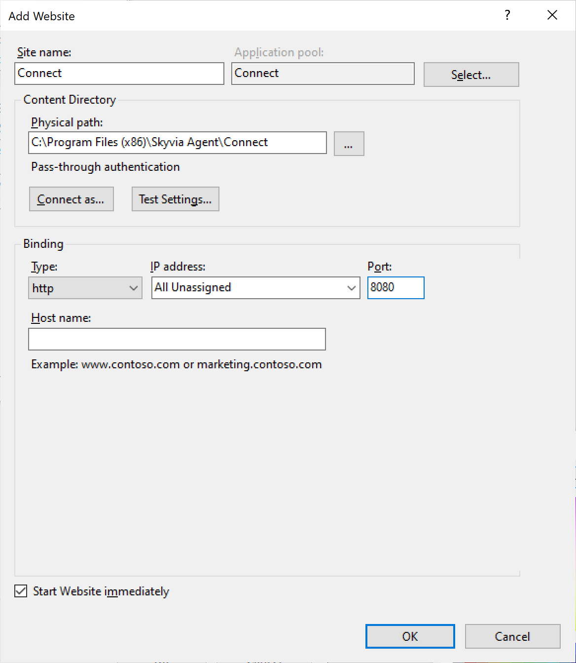 IIS website settings