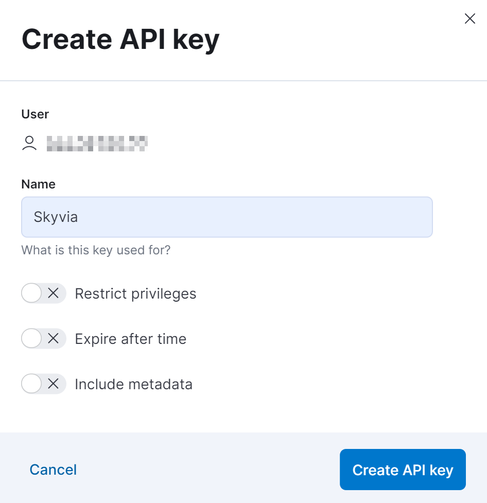 API Key name