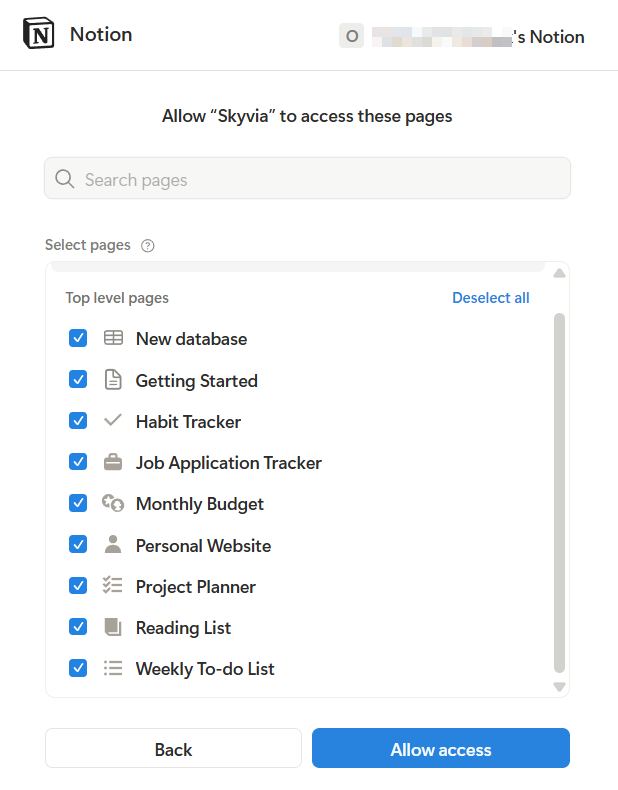 notion-allow-access