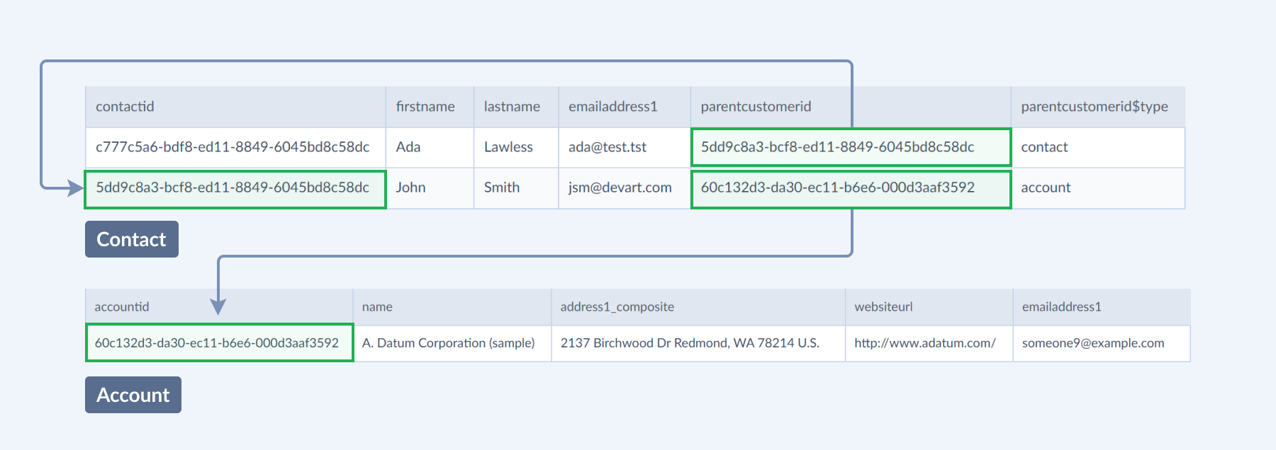 Dynamics 365 scheme - contacts and accounts