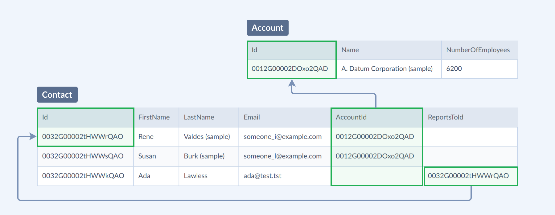 Salesforce scheme - contacts and accounts